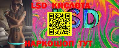 спиды Бийск