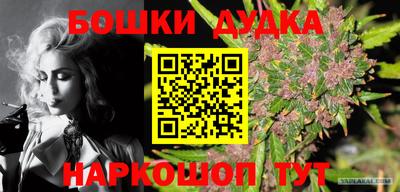 спиды Бийск