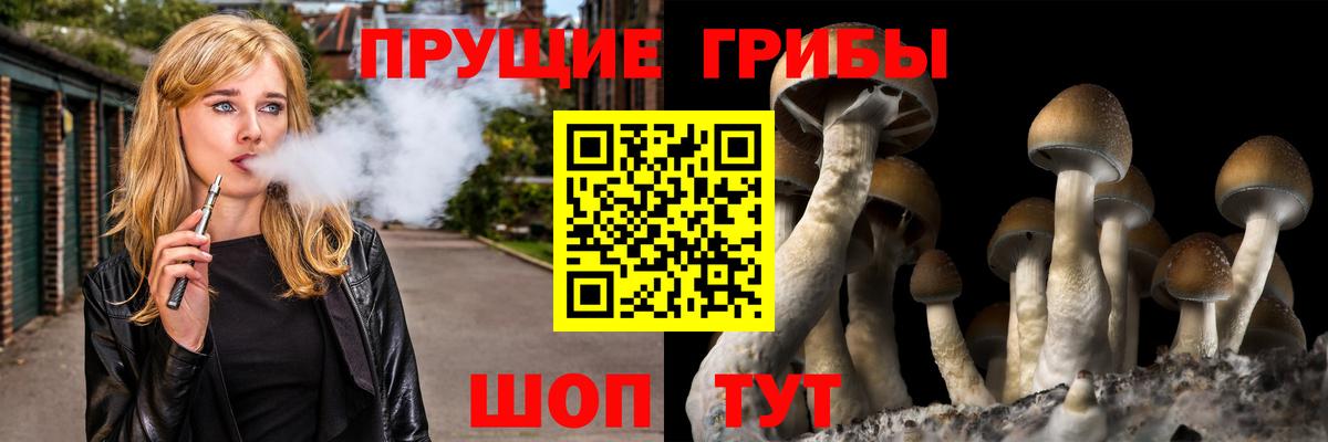 Галлюциногенные грибы прущие грибы  Вход с VPN  Каспийск 